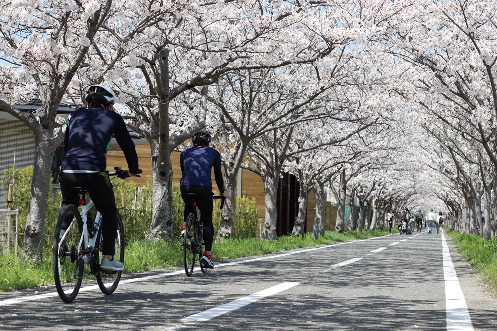 【佐賀】賞櫻景點 徐福自行車車道1 Cmyk