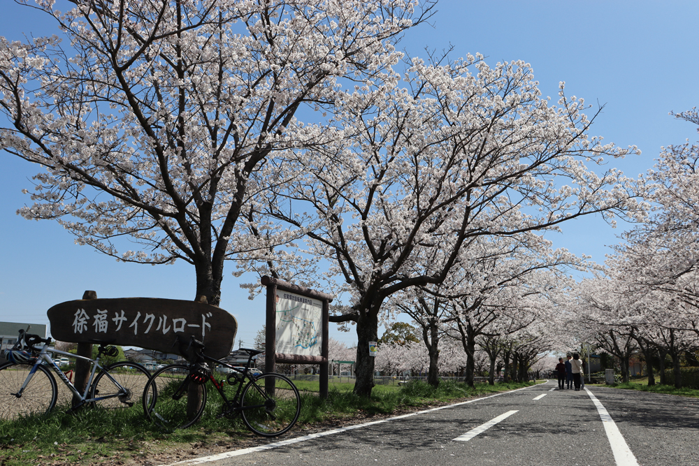 【佐賀】賞櫻景點 徐福自行車車道3 Cmyk