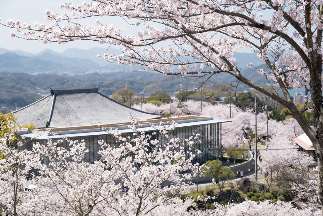 【廣島】賞櫻景點 千光寺公園 (4) Cmyk