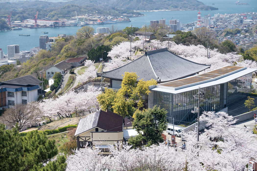 【廣島】賞櫻景點 千光寺公園 5 Cmyk