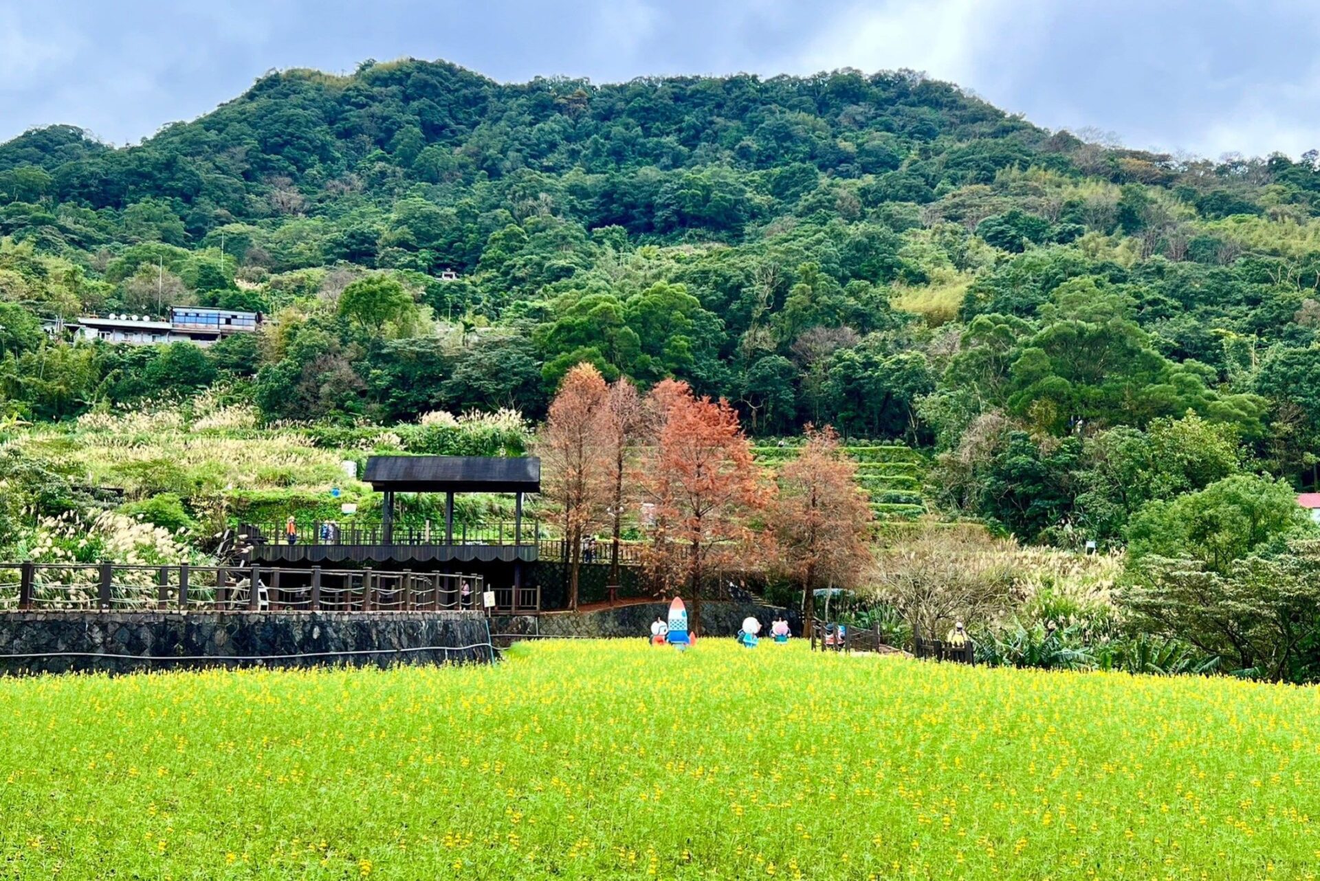 圖5 臺北大縱走第七段 樟樹步道