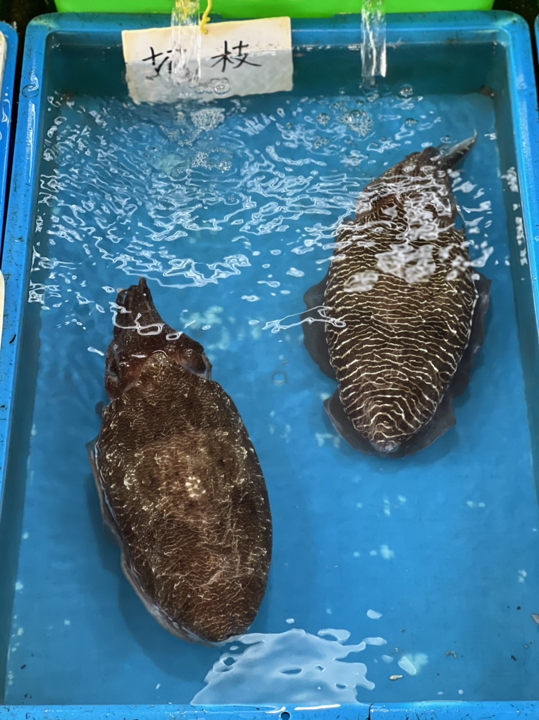 花枝及避風塘料理