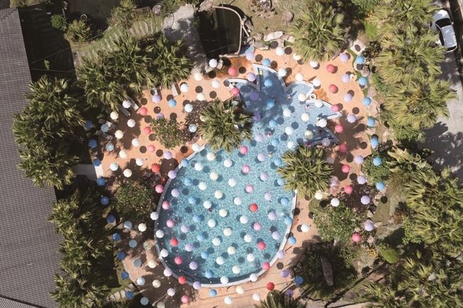 65005 S 1237002 Cmyk