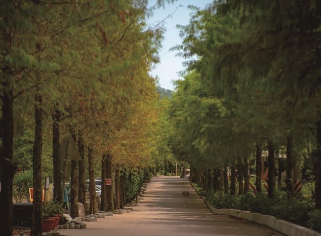 65010 S 1237004 Cmyk