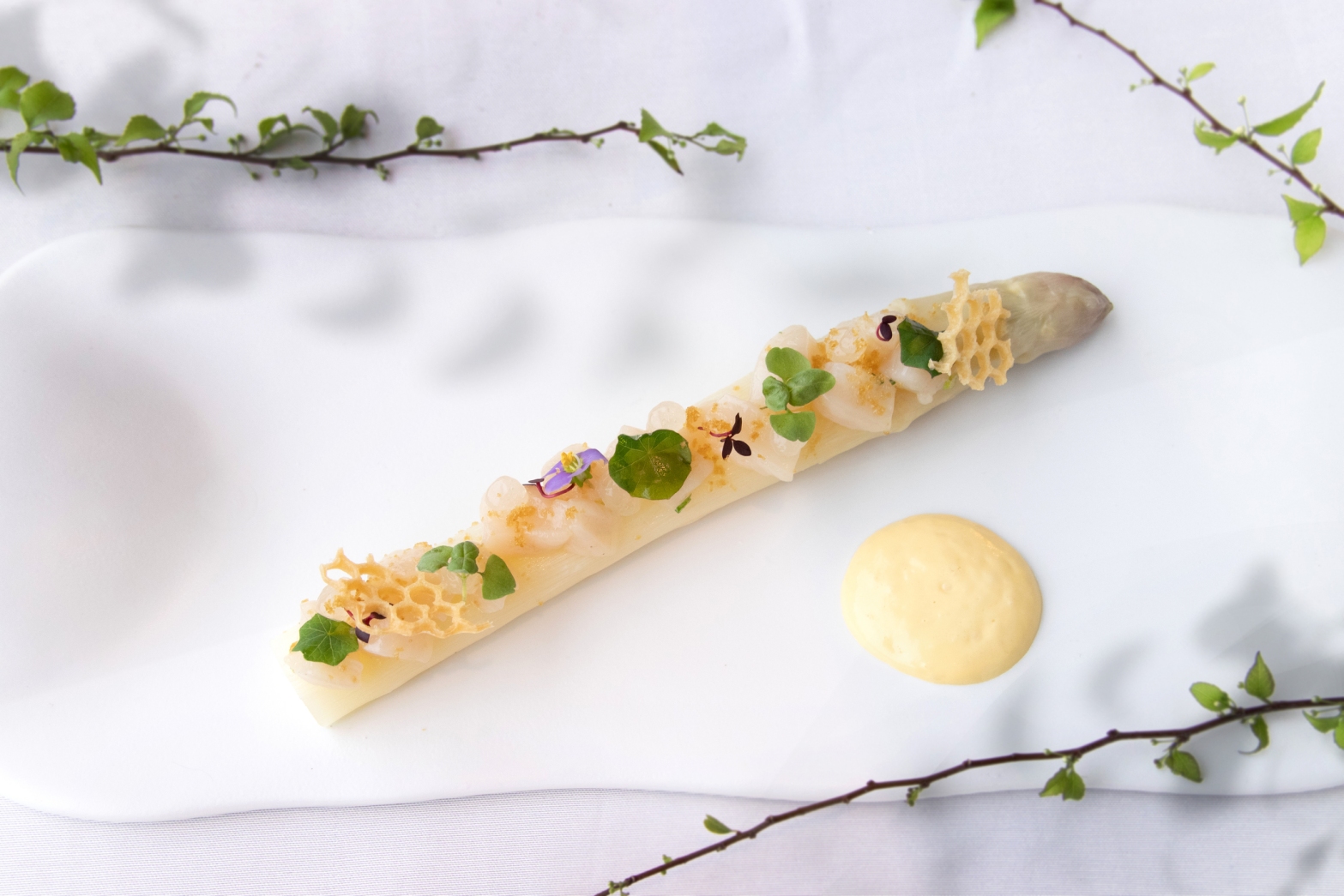 圖一c’est Bon 歐陸餐廳以法菜中的優雅常客白蘆筍結合北海道干貝與烏魚子醬