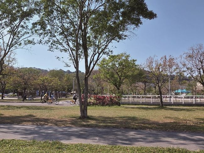 65020230310 144154 Cmyk