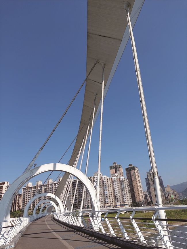 65020230310 144936 Cmyk