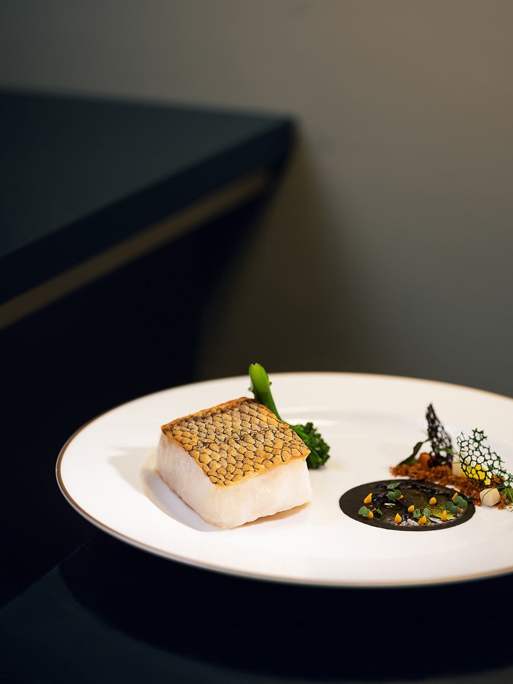 Glacier 51 Toothfish