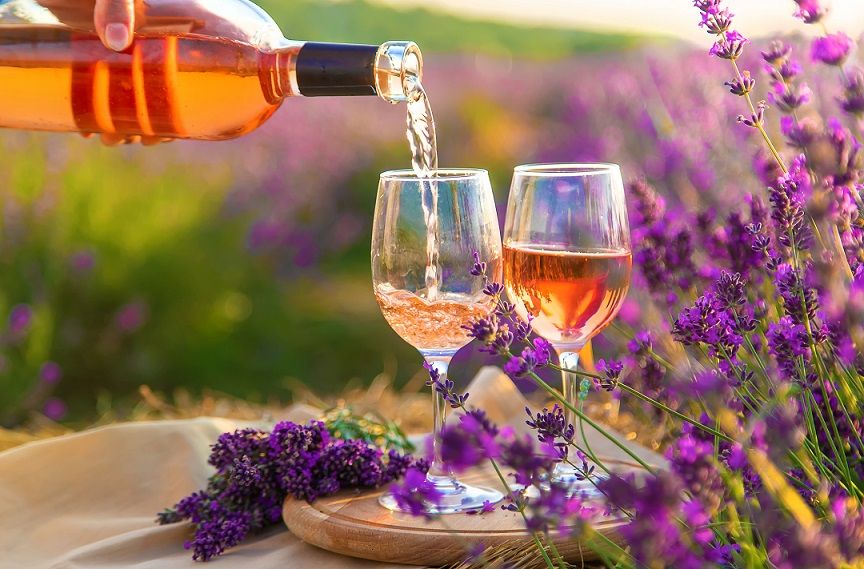 A,woman,holds,wine,in,glasses.,picnic,in,the,lavender