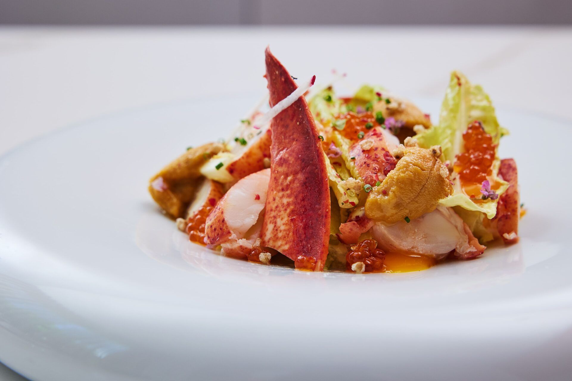 圖五、龍蝦沙拉－蘿蔓生菜舖上半隻波士頓龍蝦，少許蜂蜜芥末醬調味，更多的鮮味來自日本冰鮮空運、產地直送的生食級海膽。