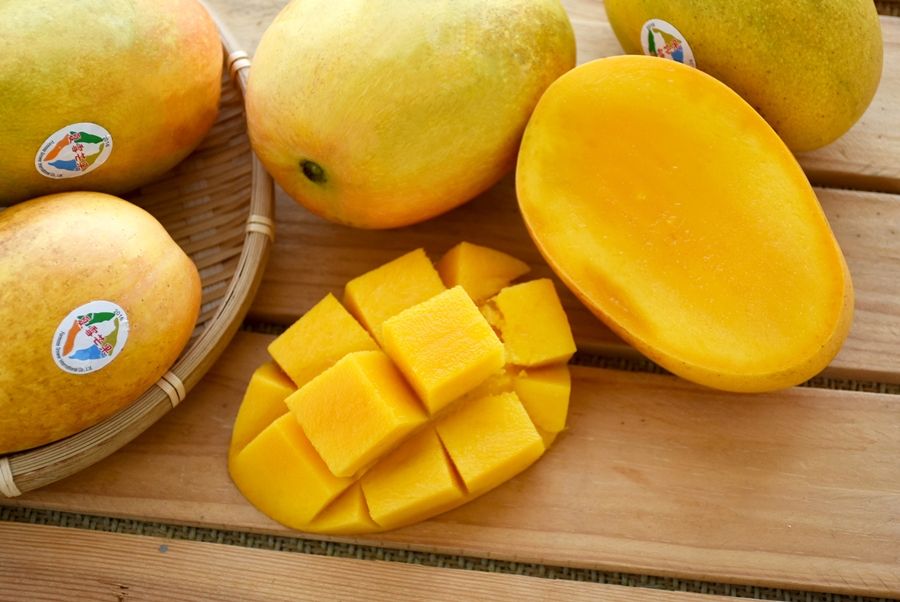 900圖1 台東縣夏雪芒果