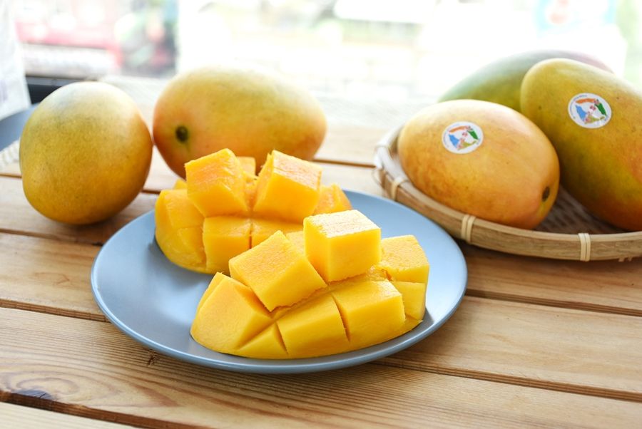 900圖2 台東縣夏雪芒果