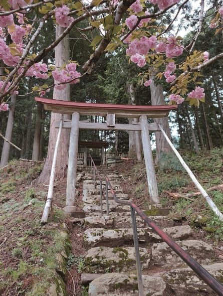 90020230419 141044 Cmyk