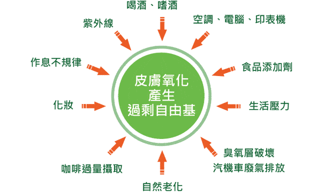 4002003399 File 73567 3