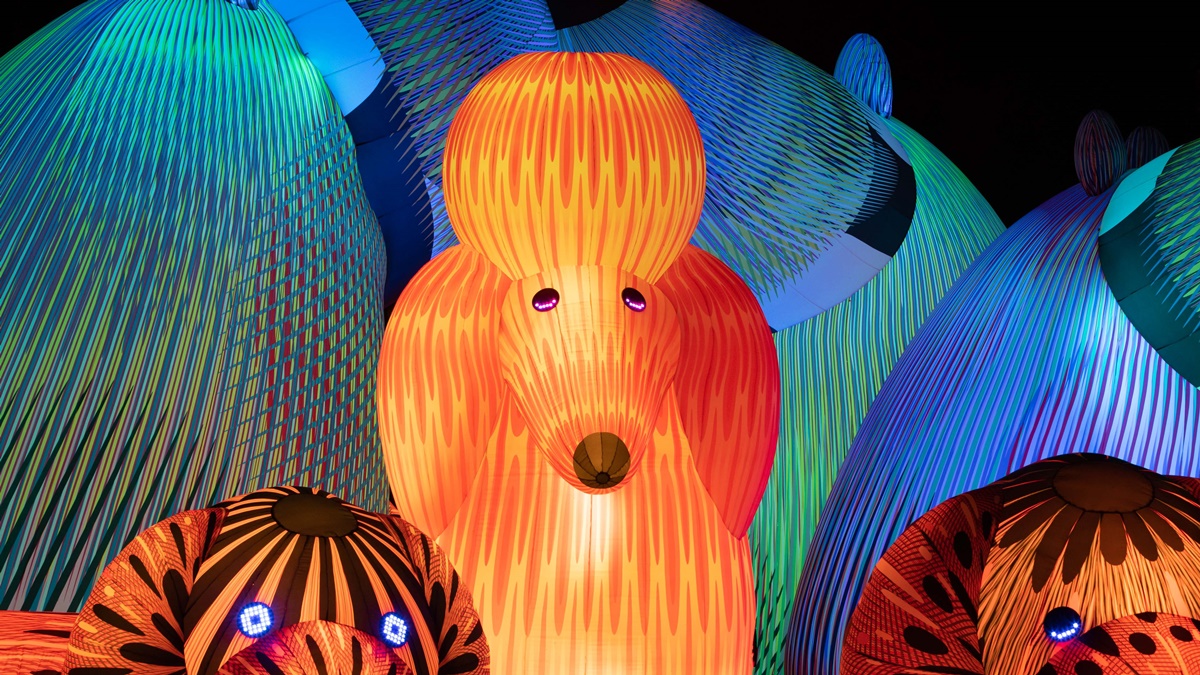 Eness 歷年其他作品 The Lost Dogs' Disco 特寫