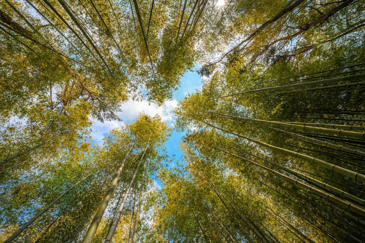 202310韓國賞楓 釜山 九山峰林