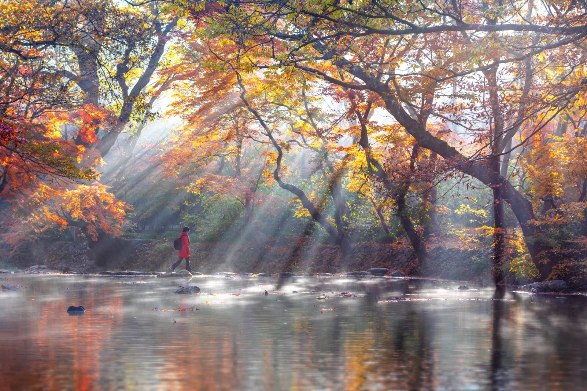 Korea Maple 2023 Ciao10