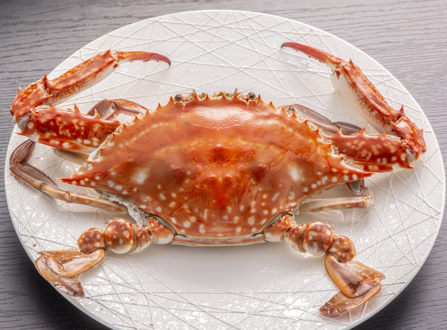 【letsgojp樂吃購！日本】日本九州九州佐賀縣太良町竹崎蟹 Copy 0