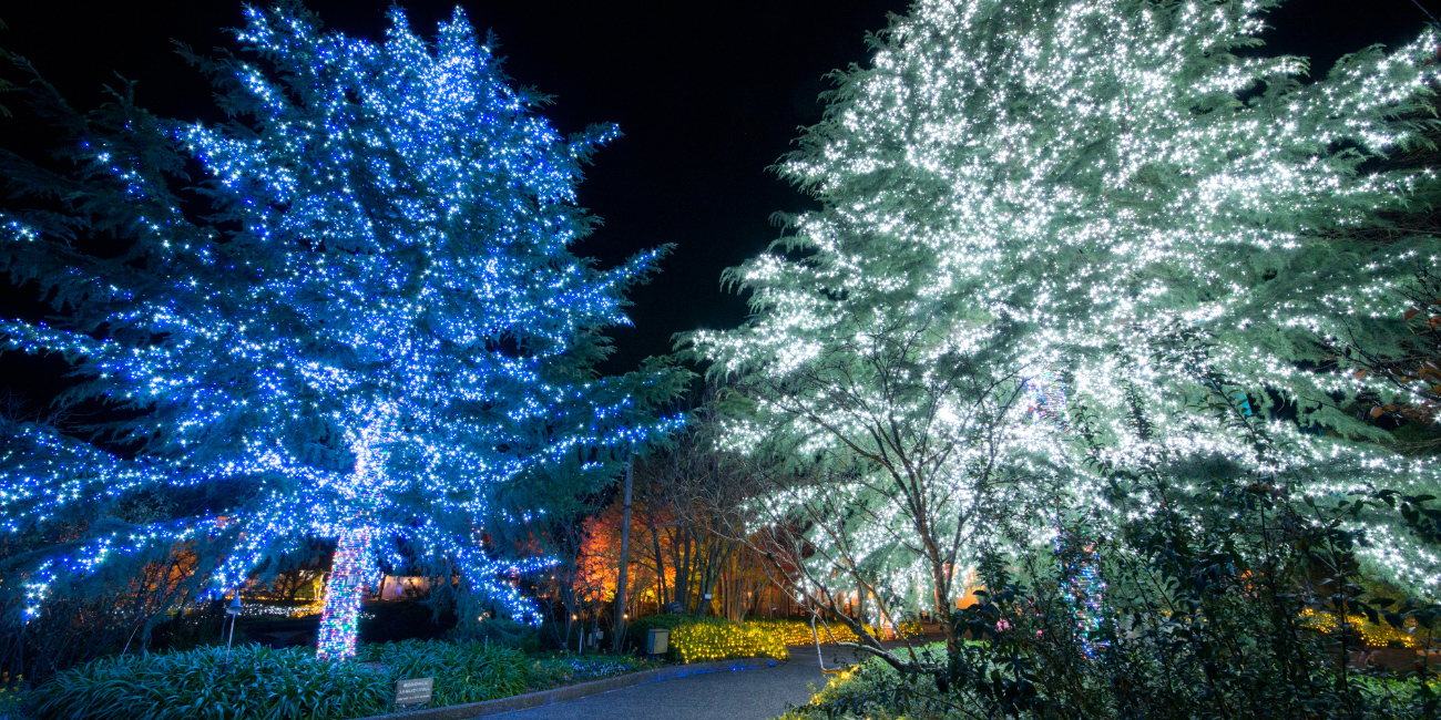 日本聖誕節慶典5：名古屋nabana No Sato冬季燈飾