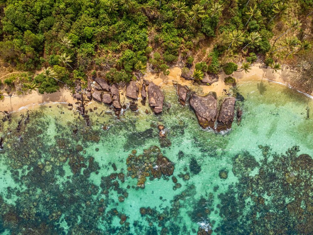 越南富國島 探索海洋的美麗珊瑚 Unsplash