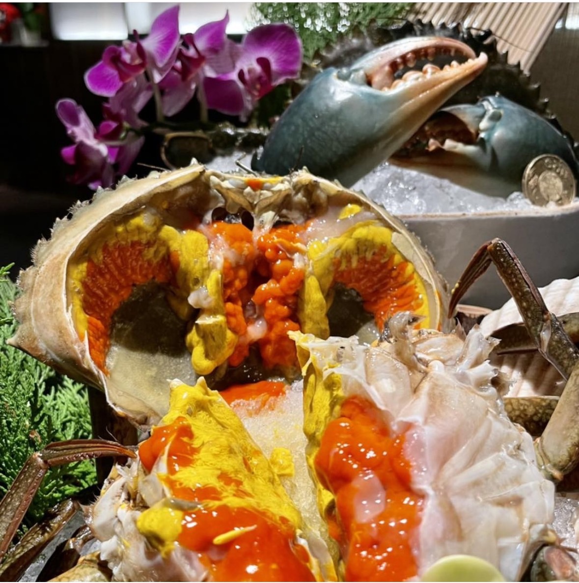 Photo Source 竹苑shabu