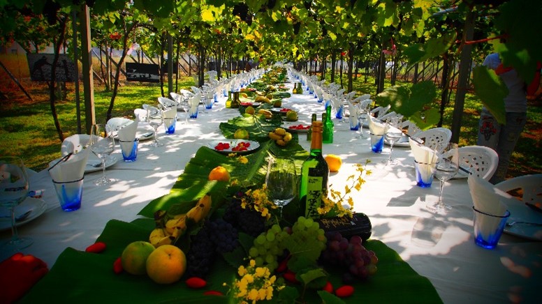 【酒堡莊】2023年12月號農村酒莊1