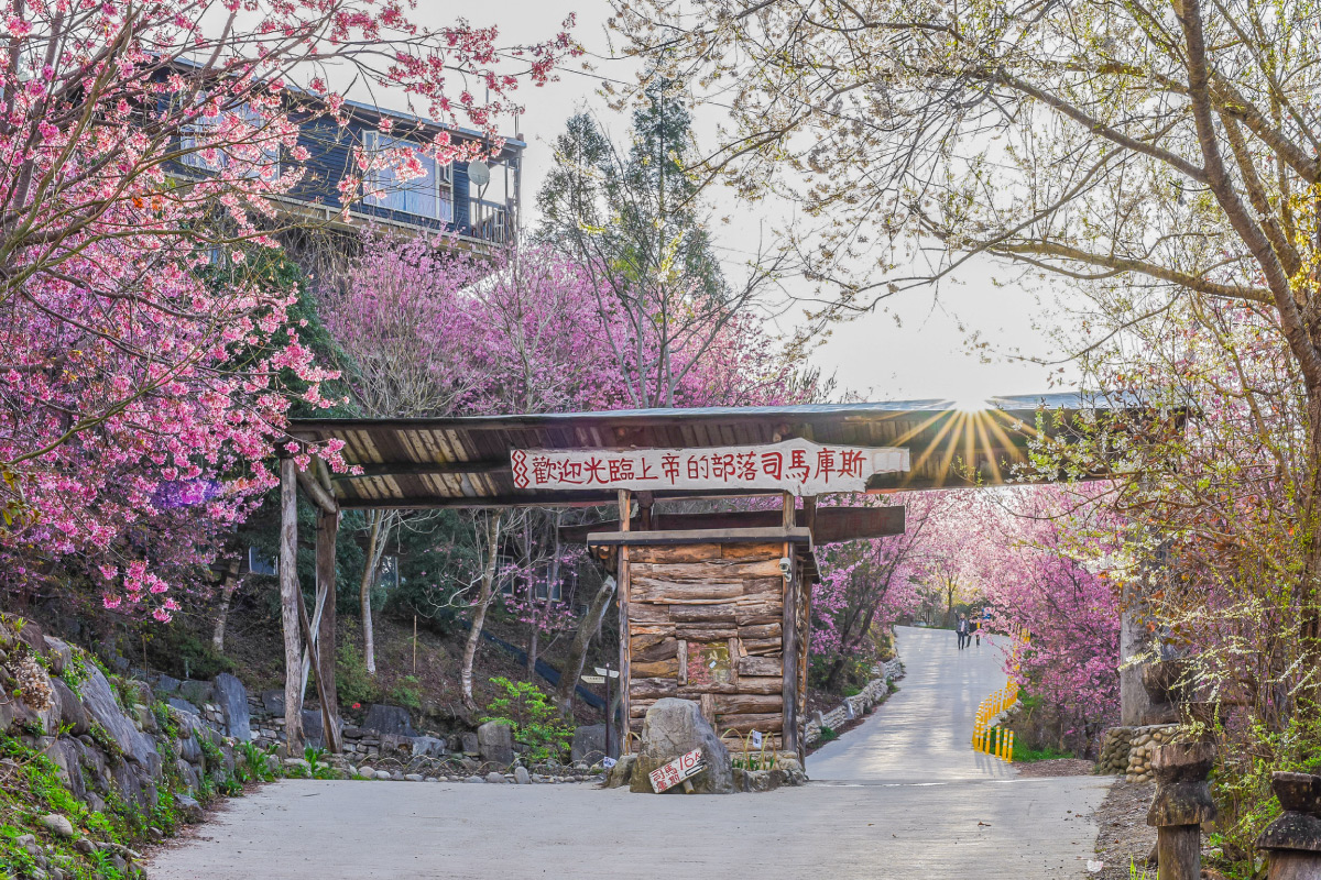 02【易遊網】熱門追櫻勝地武陵農場，易遊網限量保留房趕緊卡位