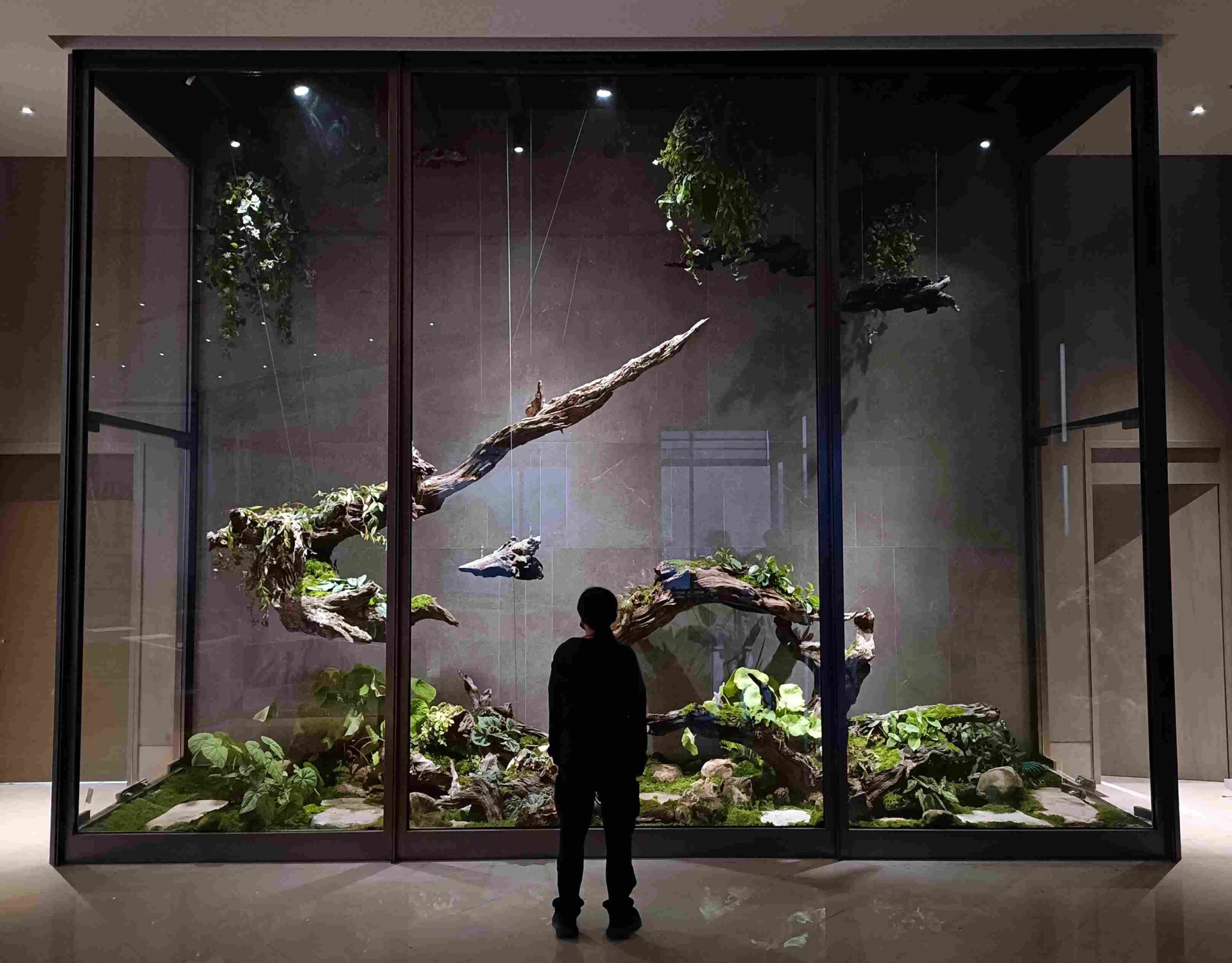 「花染木」以秋海棠為主角,將原生19種秋海棠物種移植。 1 1