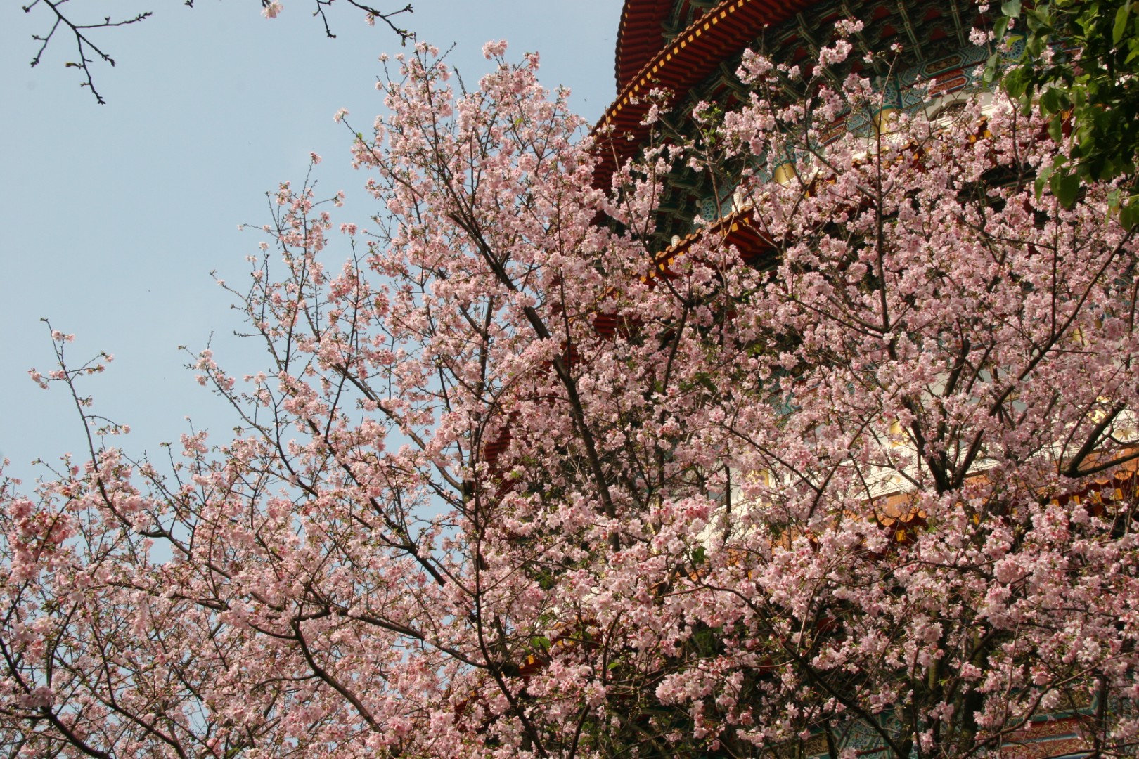 韓國旅遊溫泉推薦 席毛島礦物溫泉 江華島席毛島礦物質溫泉 온천1