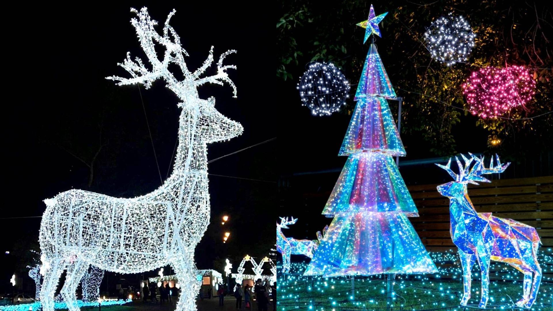 【台灣燈會】台東就醬玩臉書