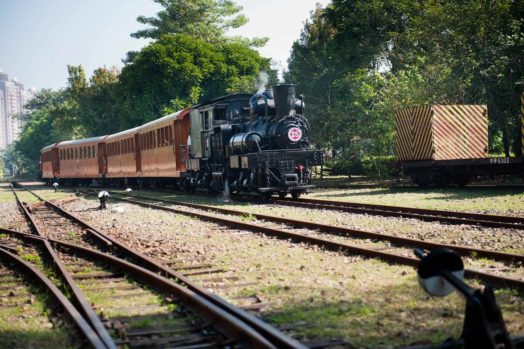 【賞花人士】阿里山森林鐵路車庫園區