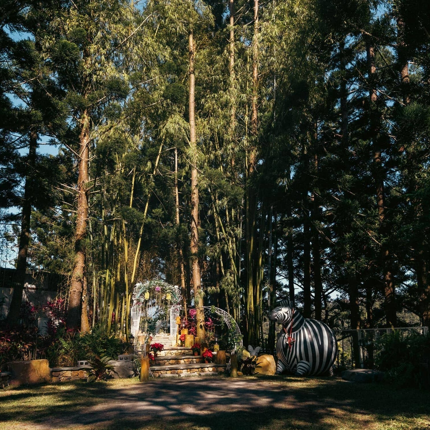 Article Cover Balanhill 2024 February