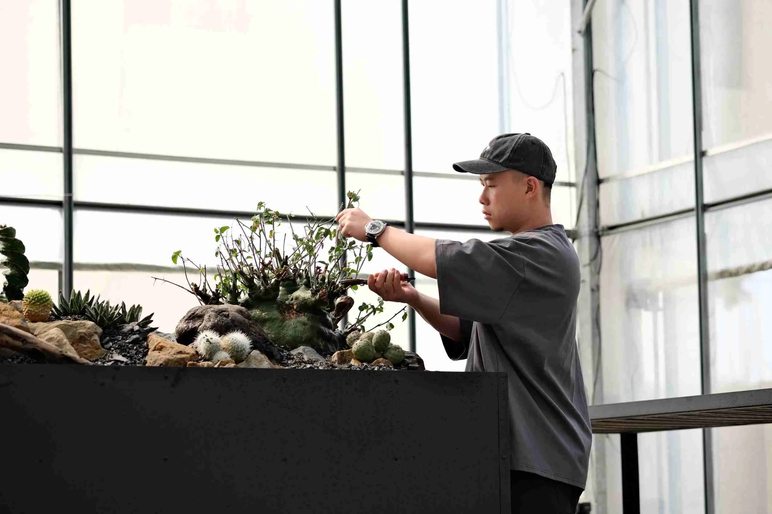 【塊根植物】「酉5pm.twcaudex」主理人曾浤澤。