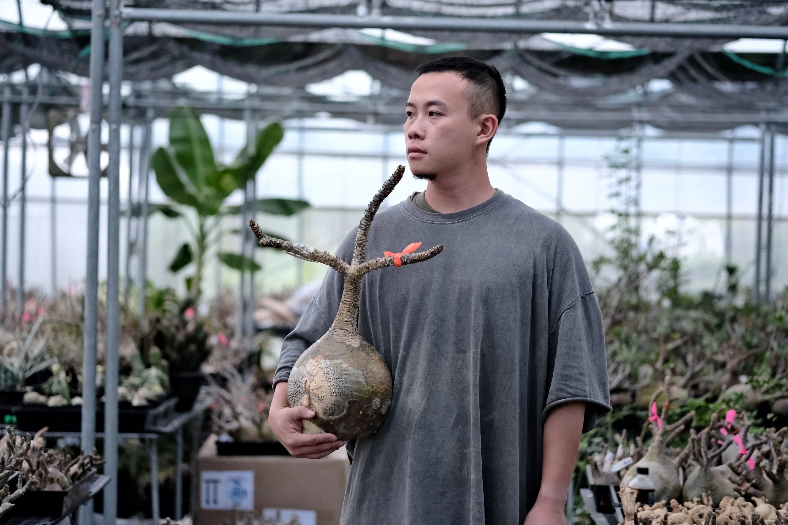 【塊根植物】「酉5pm.twcaudex」主理人曾浤澤。(2)