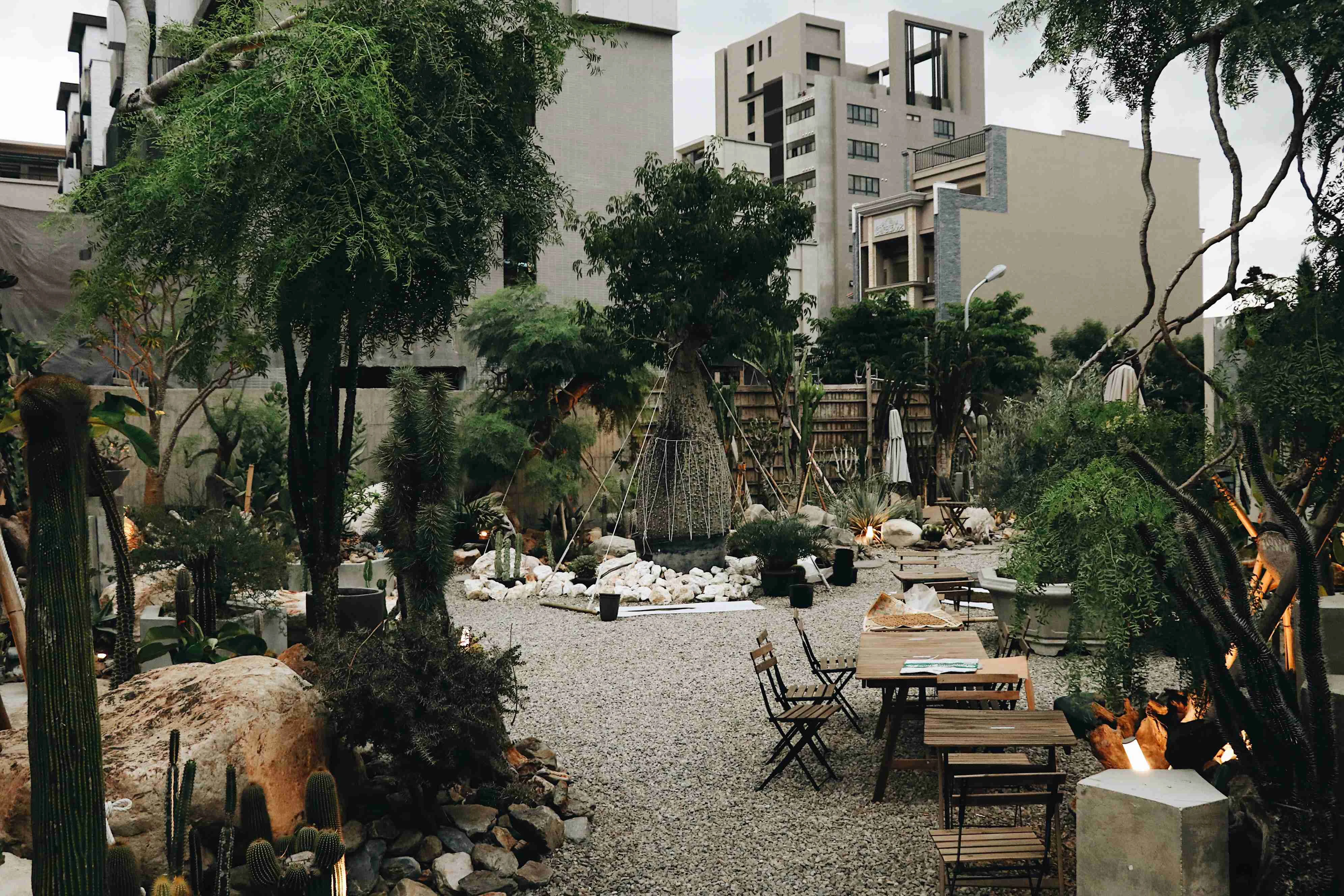 【塊根植物】南屯總店庭園一角。