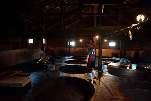 【日本】wakayama Prefecture Yuasa Town1