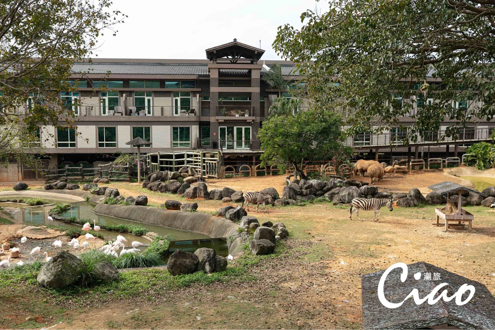 【關西六福莊】在房內就能近距離觀賞可愛動物。