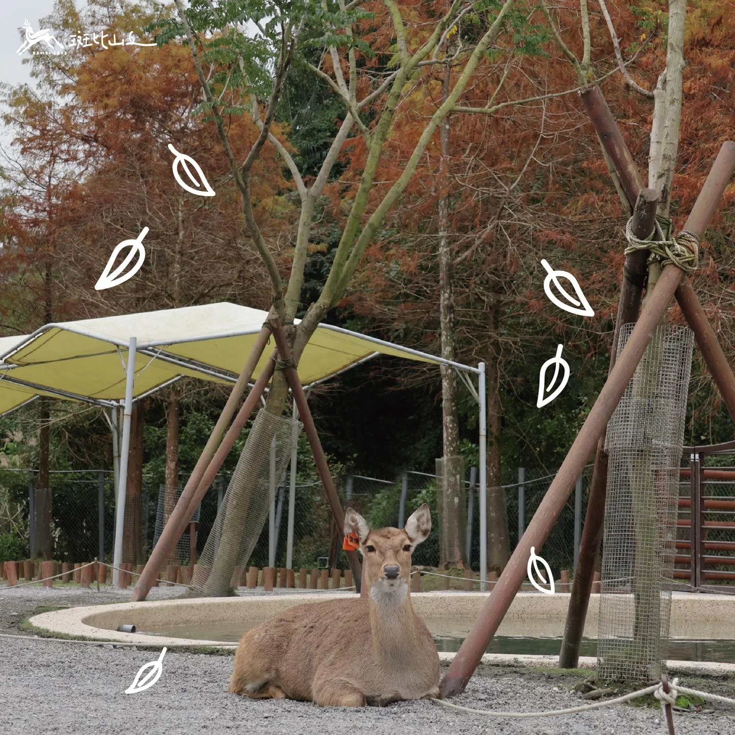 【班比山丘臉書】母親節旅遊景點 宜蘭班比山丘