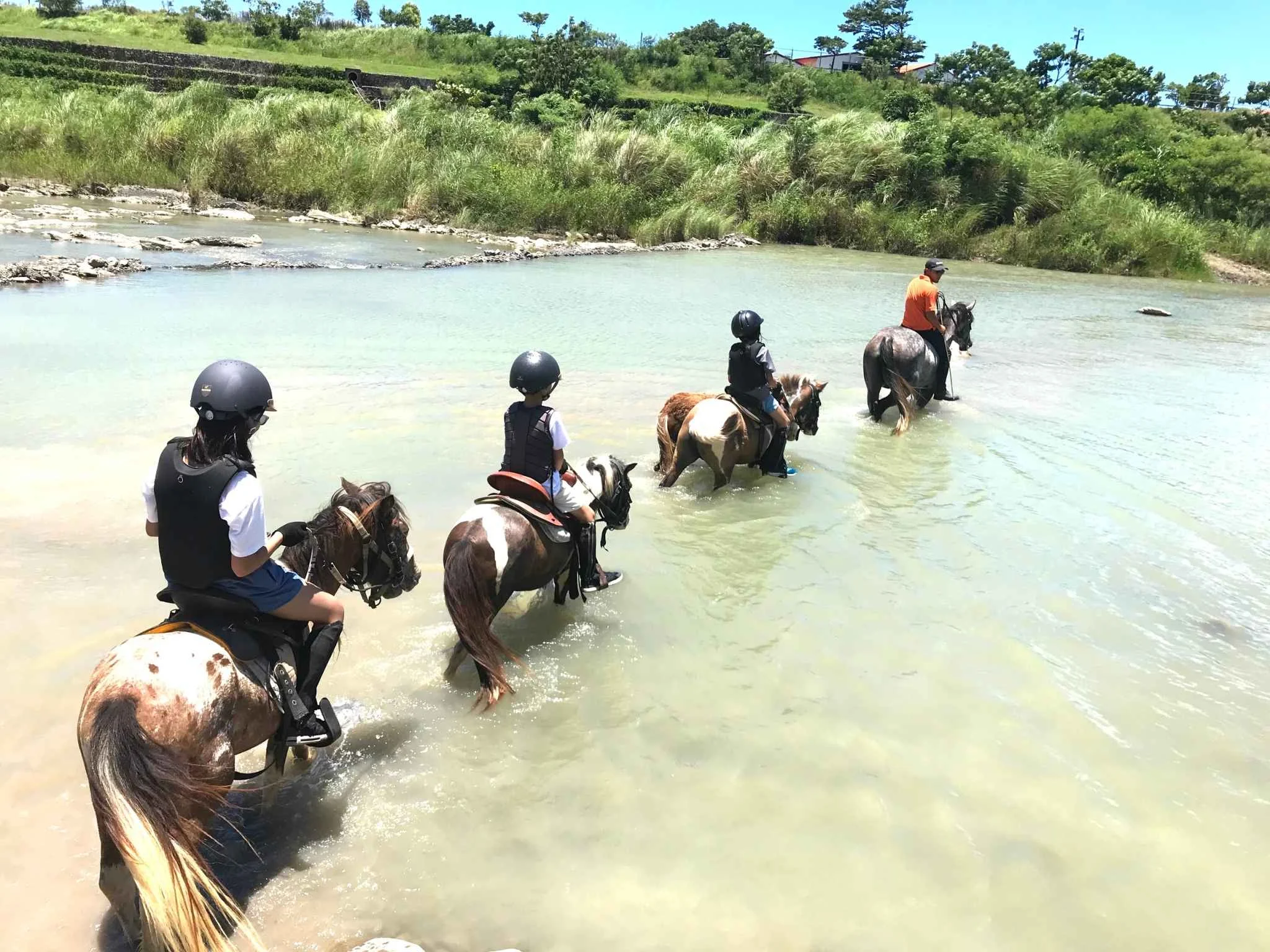 【馬場】主打大人小孩都能體驗的溯溪騎乘。(©悠客馬場)