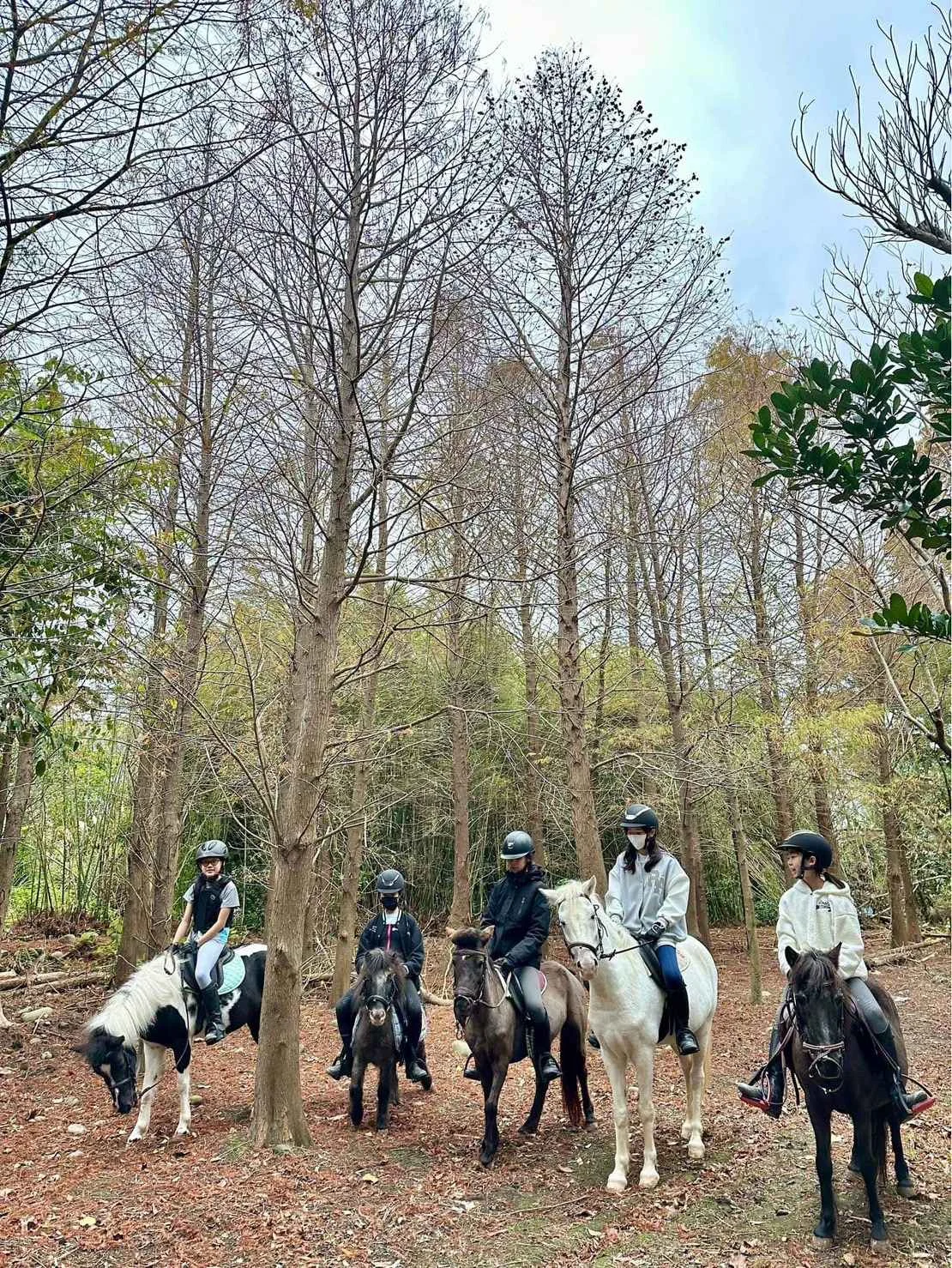 【馬場】尼普頓馬術創藝園區是少數能體驗「策馬入林」的馬場。(©尼普頓馬術創藝園區)