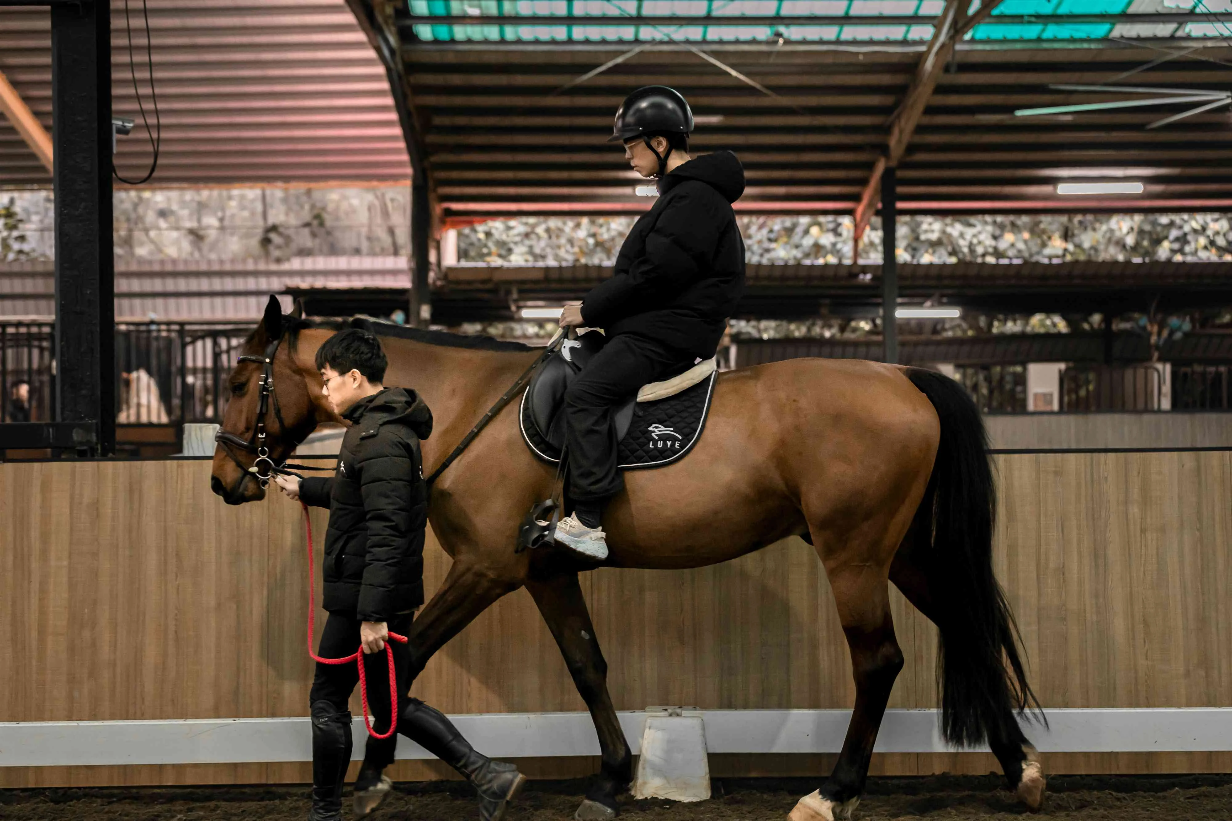 【馬場】戶外騎乘前要先在馬場內習慣騎乘節奏。