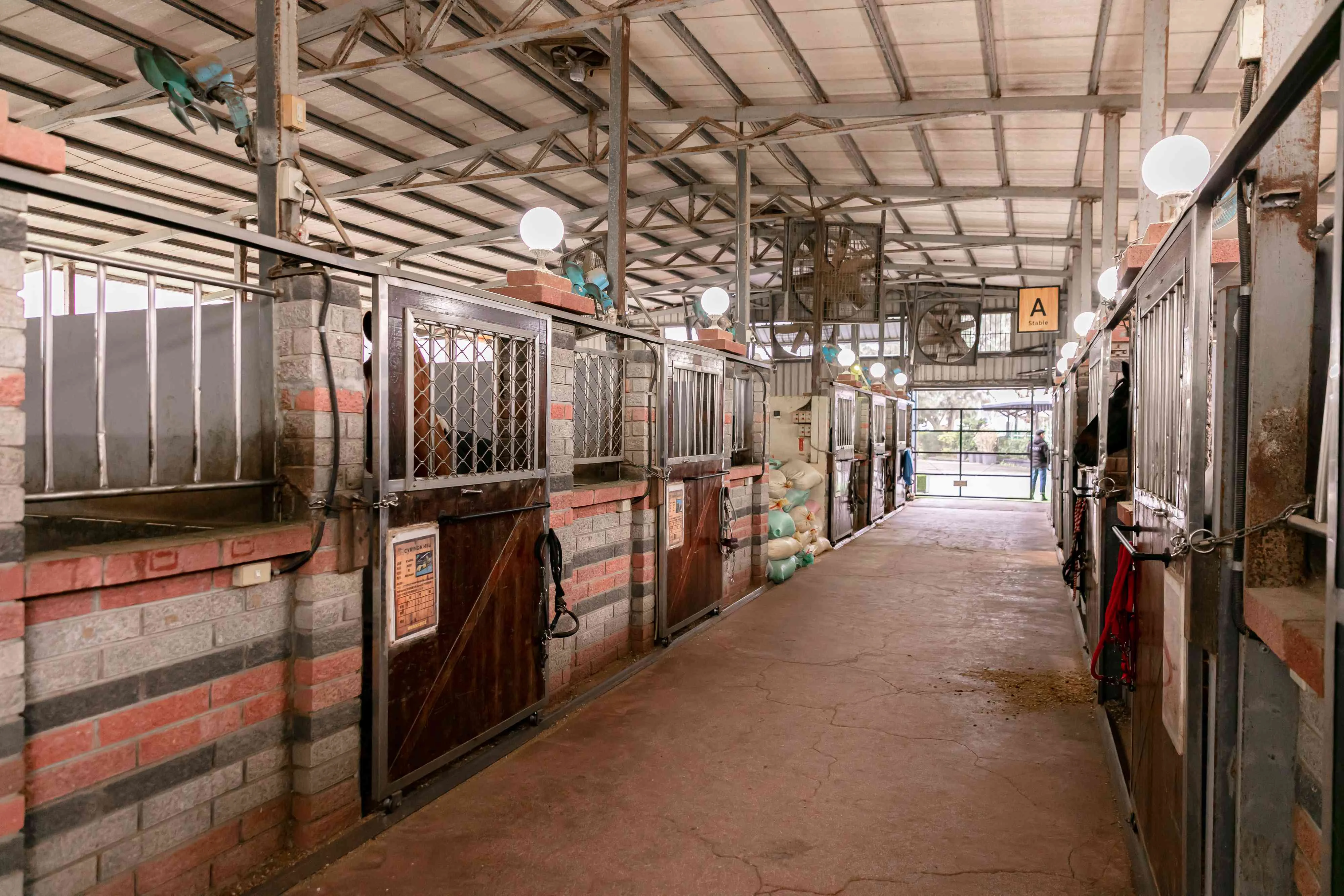 【馬場】馬廄內每匹馬前面都有著專屬的資料卡，介紹著基本資料和特殊事蹟。