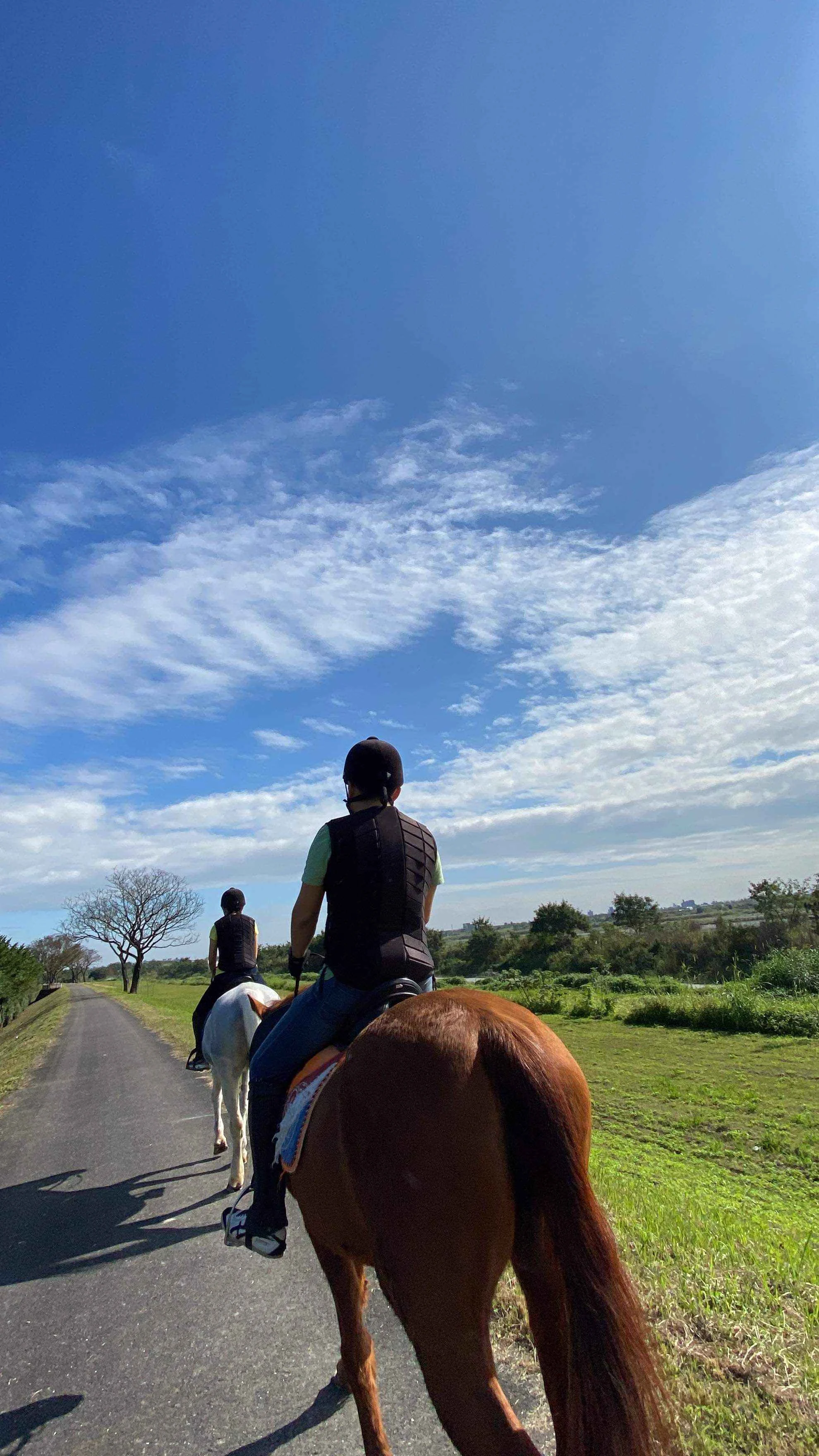 【馬場】騎乘在水岸綠地上，呼吸新鮮空氣。(©噶馬蘭馬術運動場)