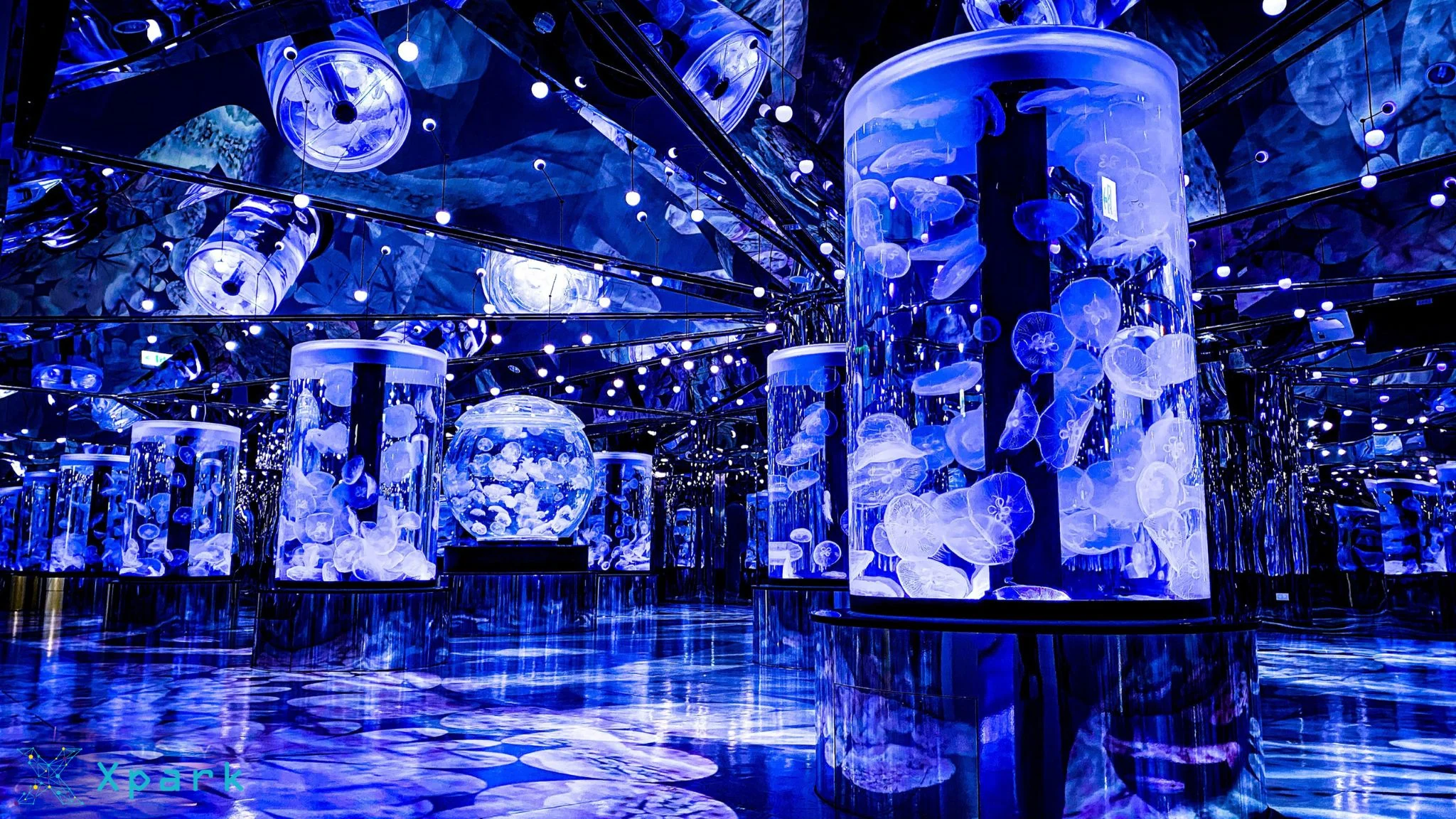 【xpark臉書】母親節旅遊景點 桃園xpark