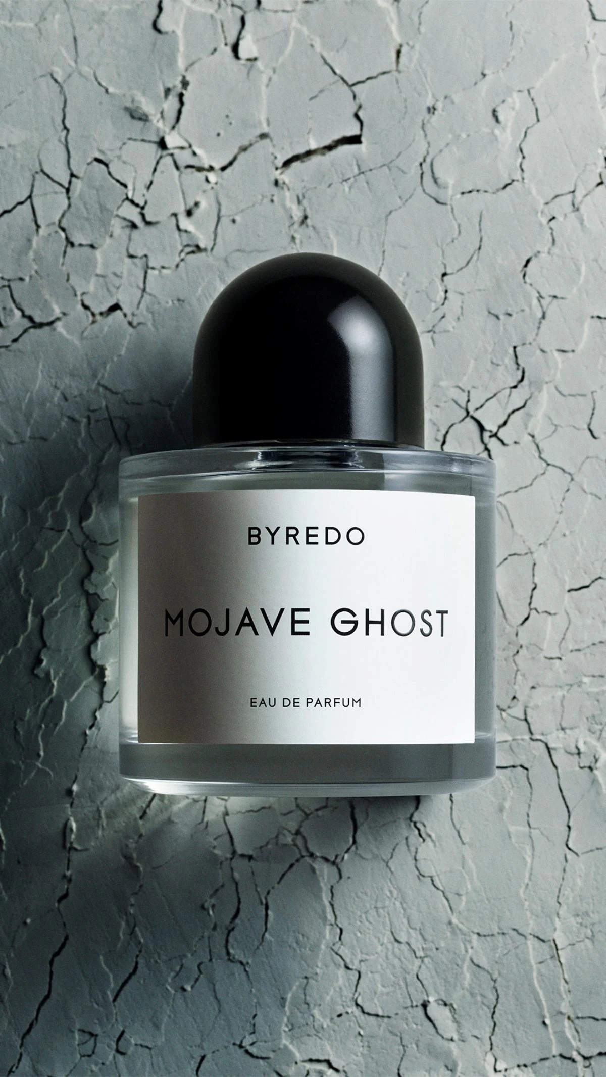 2024母親節香水12