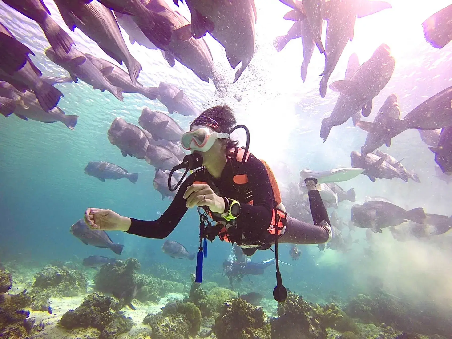 潛水潛點潛店推薦7