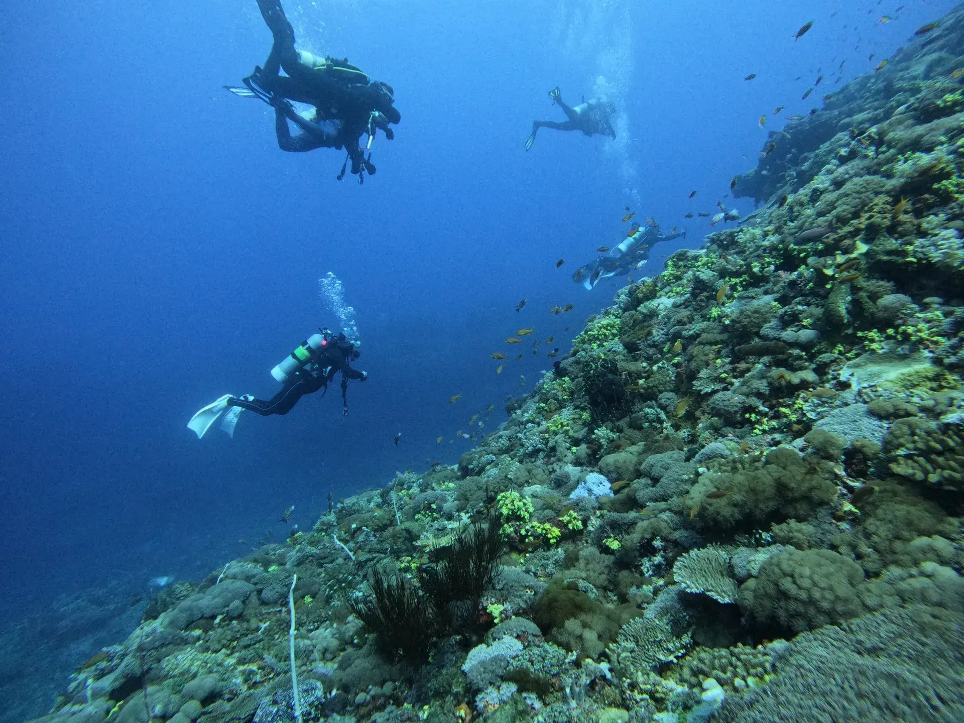 潛水潛店推薦13 Idiving