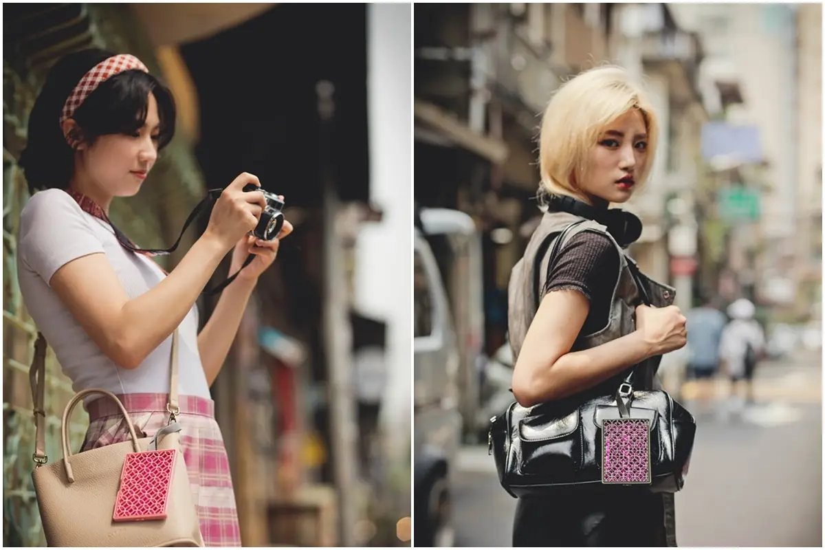 鱷魚古花窗防蚊片情境圖3