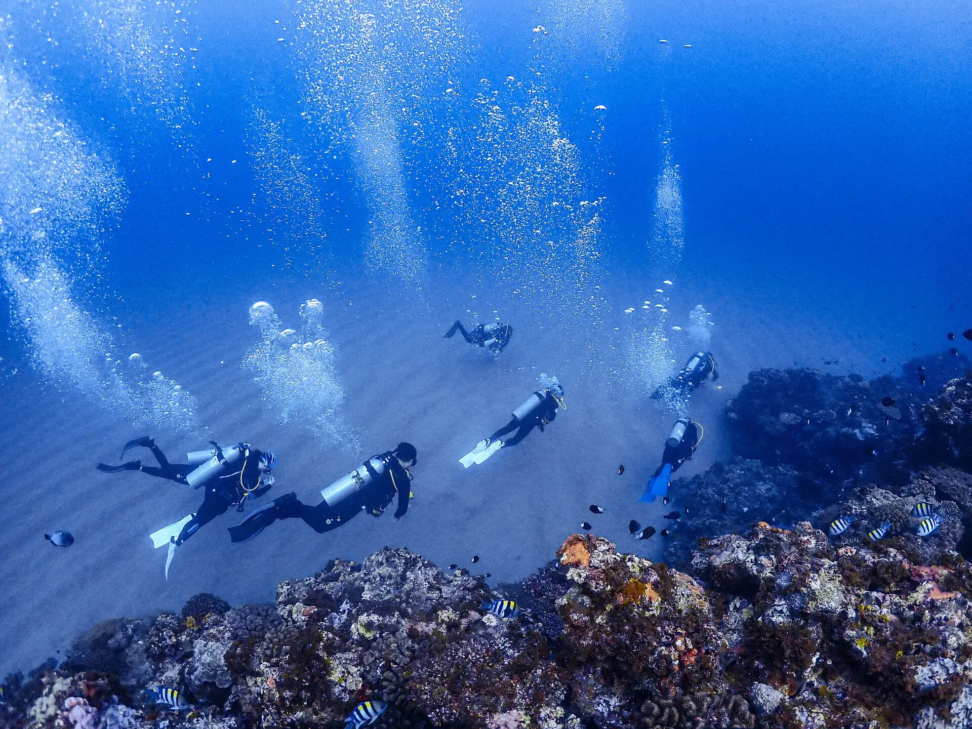 潛水潛店推薦17 Heyheydive