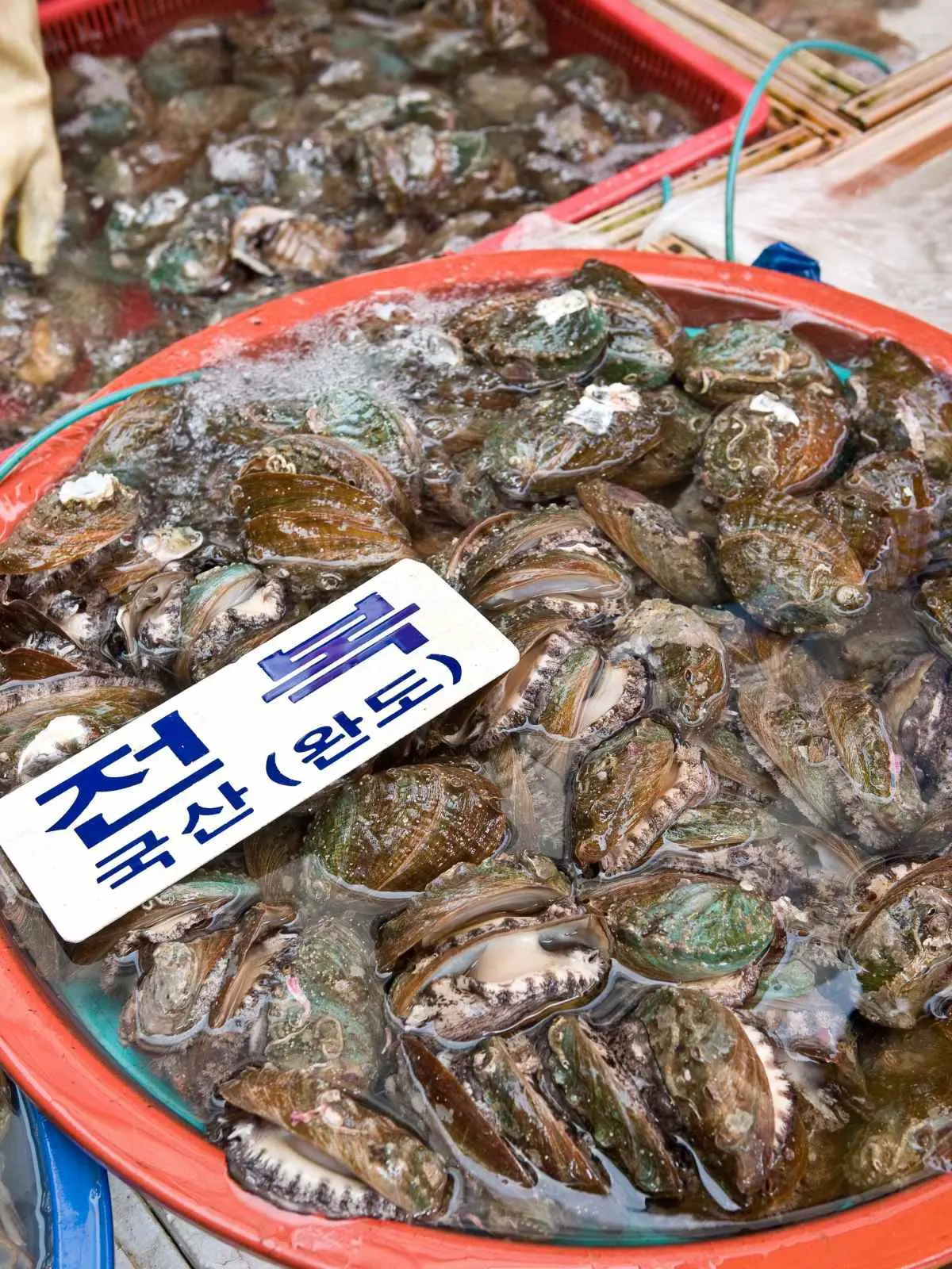 완도 전복 韓國觀光公社台北支社